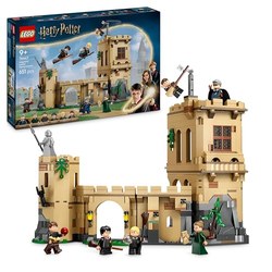 LEGO Harry Potter Hogwarts: Flugstunden 76447