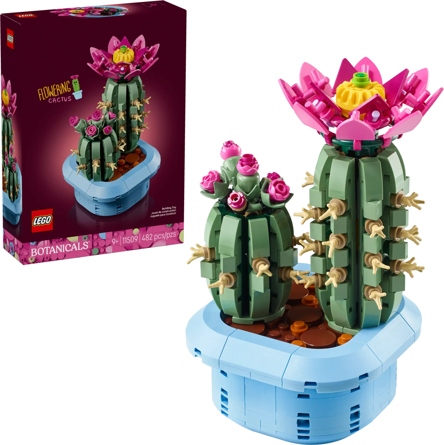 LEGO Botanicals – Blühender Kaktus für 19€ (-6%)