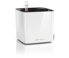 LECHUZA CUBE Glossy 14 Pflanztopf (Selbstbewässerung) für 13€ (-34%)