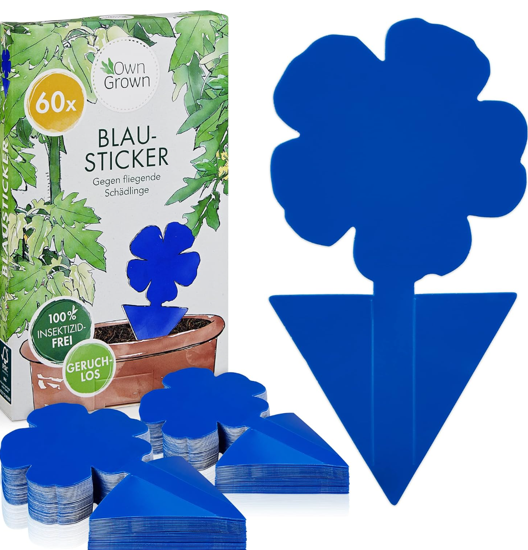 Preisfehler – OwnGrown Blaue Fliegenfalle für Zimmerpflanzen – 60er Pack für 3€ (-85%)
