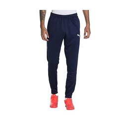 PUMA Teamrise Poly Trainingshose (Jogginghose)