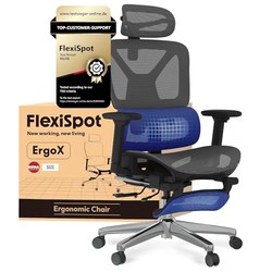 FLEXISPOT ErgoX ergonomischer Bürostuhl